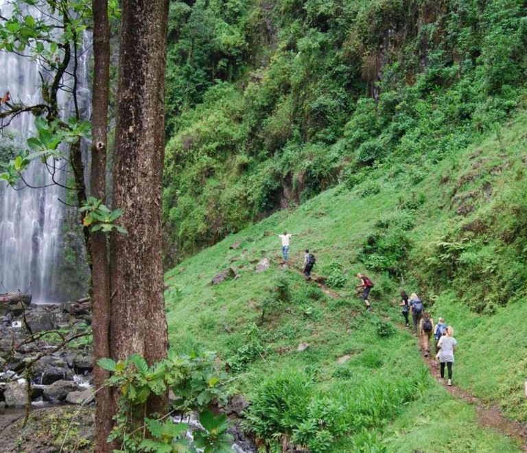 Materuni Waterfall and Coffee Farm Tour